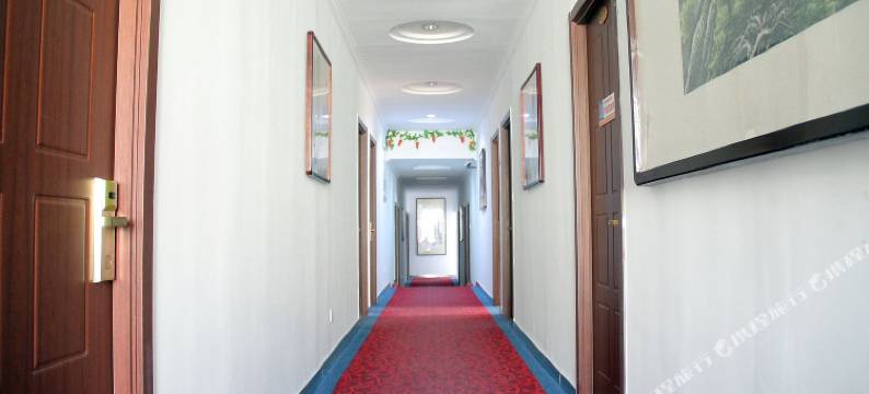 青岛芒果宾馆图片