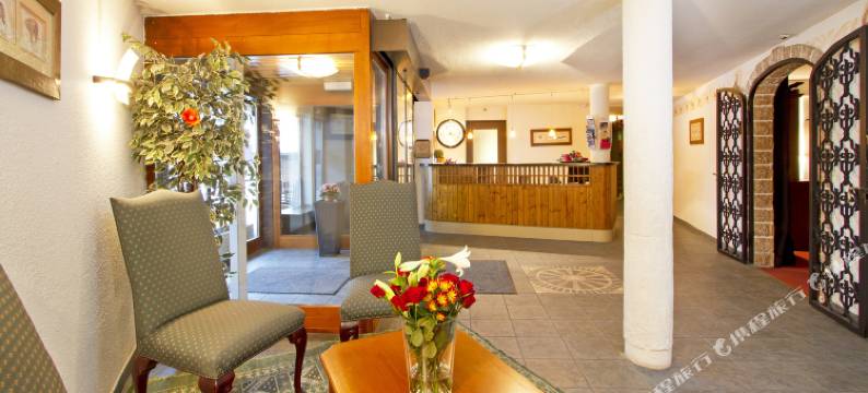 乐羚羊酒店(Hotel Le Chamois)图片