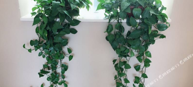 航季安精品酒店(乌鲁木齐迎宾路国际机场店)图片