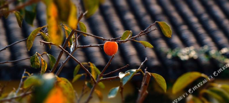 绍兴畅艺园美学空间民宿图片