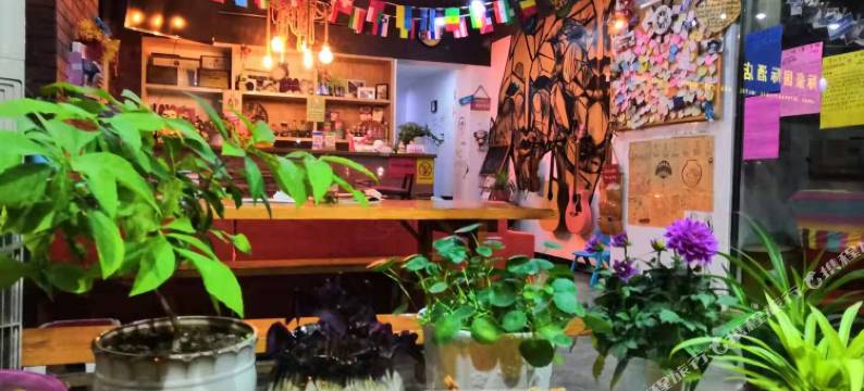 宜昌鸽子树青年旅舍图片