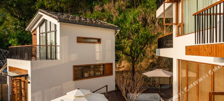 霞浦草木人茶宿图片