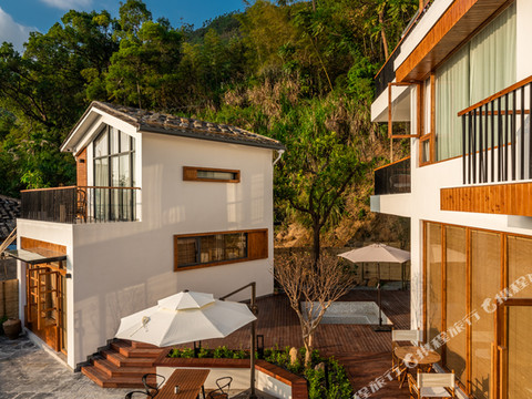 霞浦草木人茶宿