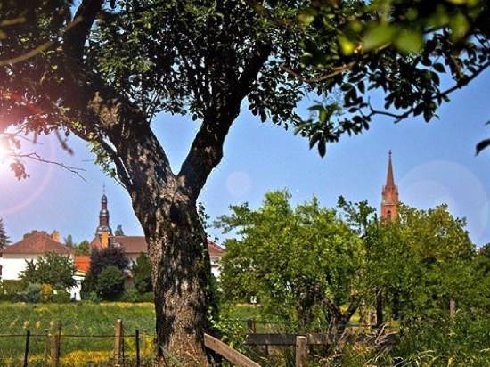 Deutsches Haus Hotel Reviews And Room Rates Trip Com