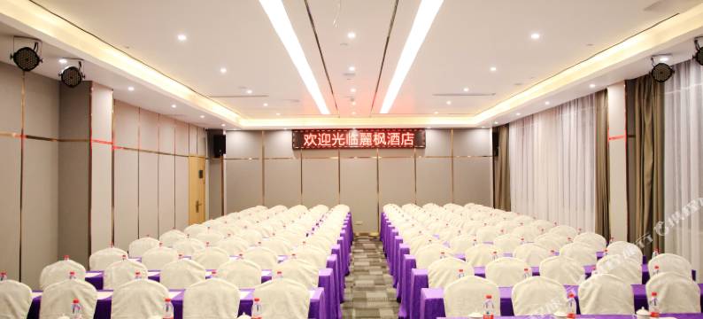 麗枫酒店(深圳龙华汽车站清湖地铁站店)图片