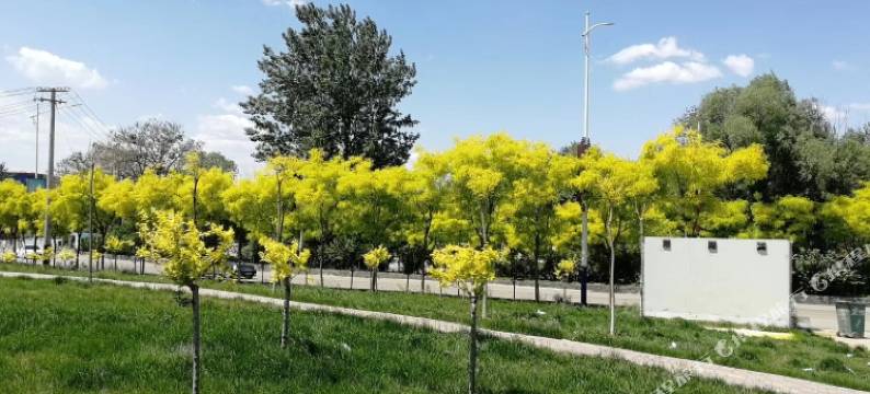 赞皇石臼山宾馆图片