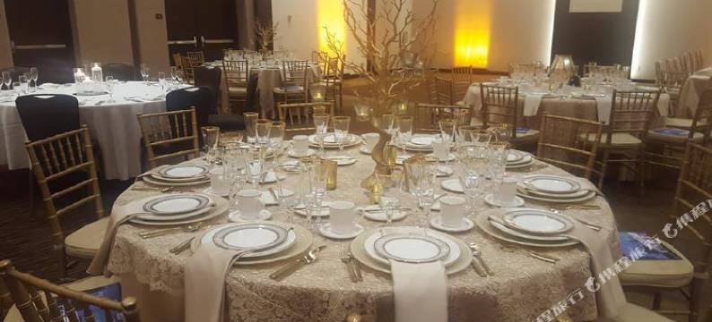 明尼阿波利斯市中心喜来登会议中心酒店(Sheraton Minneapolis Downtown Convention Center)图片