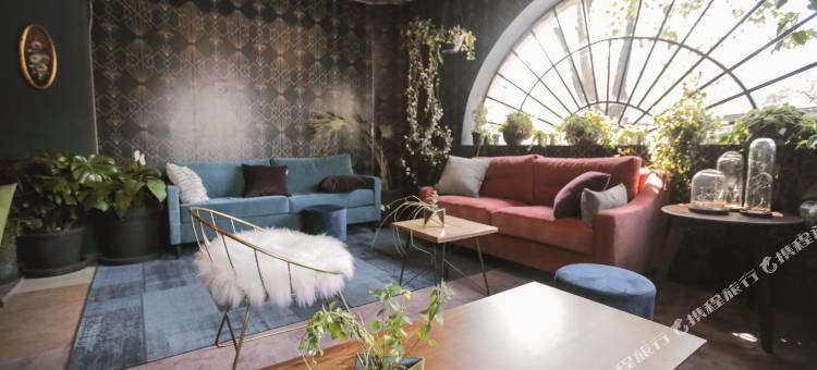 塞利纳墨西哥城市中心酒店(Hotel Virreyes México)图片