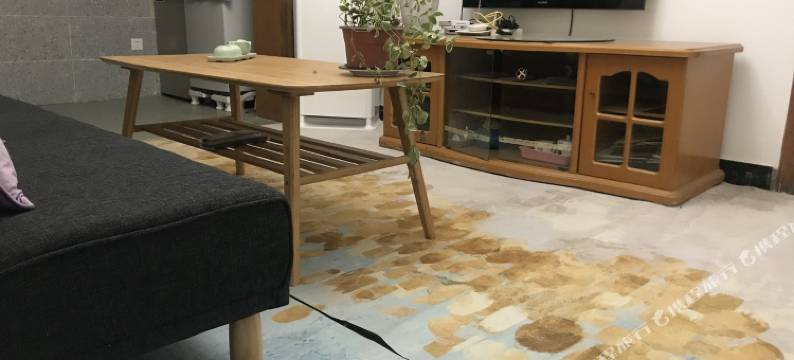 文涛袁家公寓(琴台路分店)图片