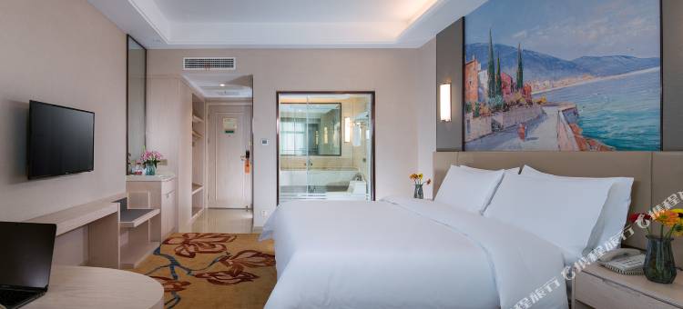 维也纳国际酒店(九江庐山火车站店)图片