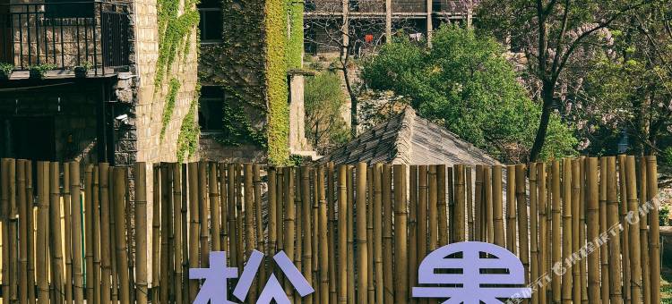 松果民宿(泰山店)图片