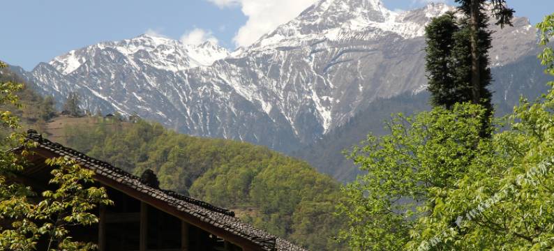 海螺沟氧气花园客栈图片