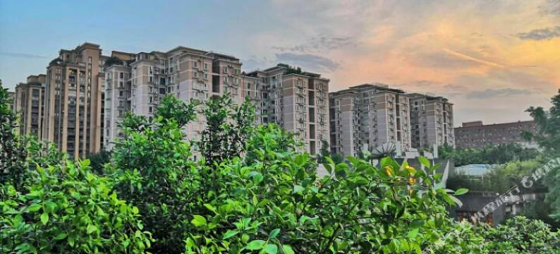 城南品质青年旅社(成都桐梓林店)图片