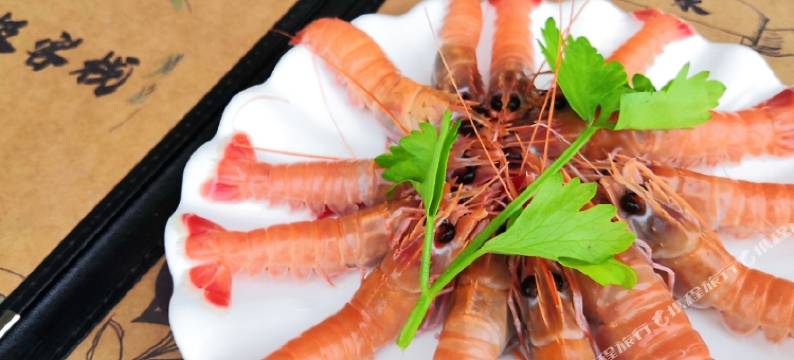 舟山东之极客栈(东福山岛店)图片