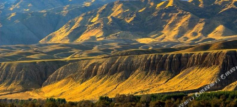 特克斯君虎大酒店(八卦城太极坛店)图片