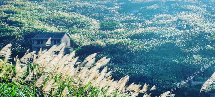 Losum爱夏·后会有期海景民宿(东极庙子湖店)图片