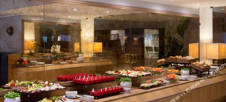 总统星际酒店(Starhotels President)图片