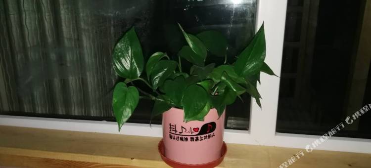 特克斯昆仑青旅图片