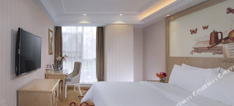 维也纳酒店(济南泉城路大明湖店)图片