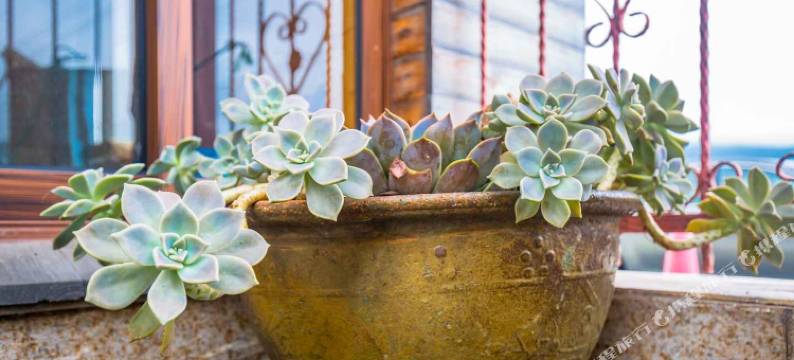 朱家尖小朱e家客栈图片