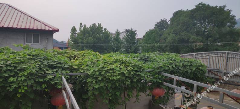 狼牙山忠良农家院图片