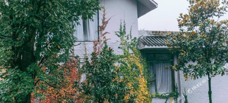 成都青城山伴山雅墅度假别墅图片