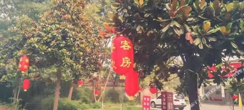 盱眙苏卫农家乐图片
