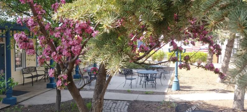 塔耶尔酒店(The Thayer)图片