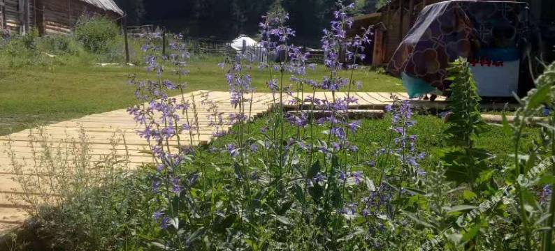 哈巴河恒源客栈图片