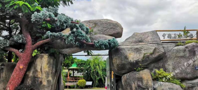 厦门野士部落图片