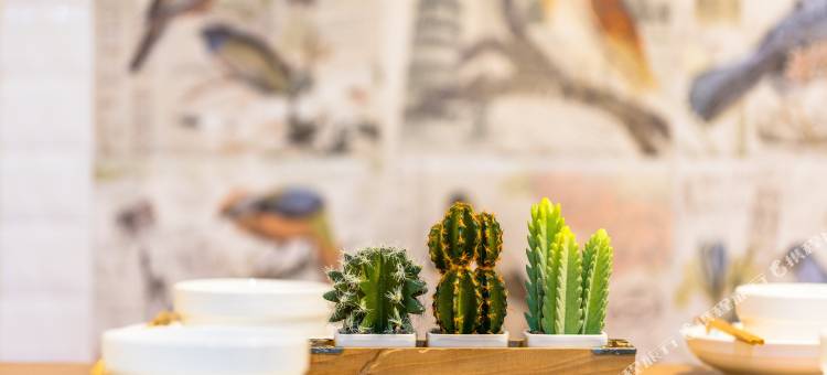 上海花舍1公寓(24号店)图片