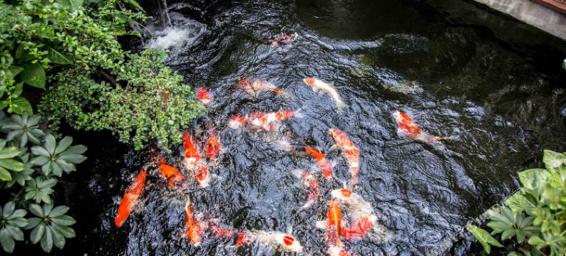 珠海住好的客栈图片