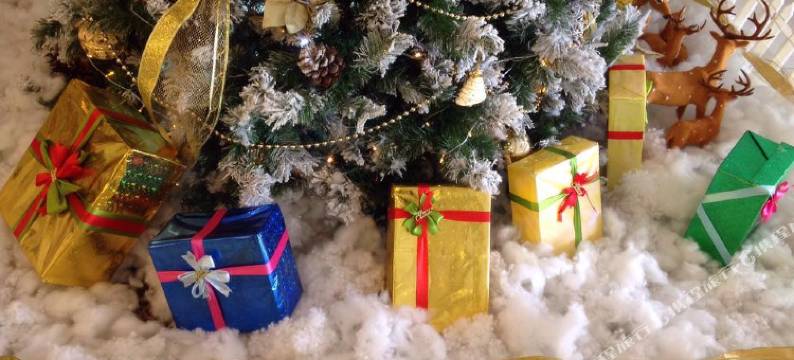 北宁中央酒店(Center Hotel Bac Ninh)图片