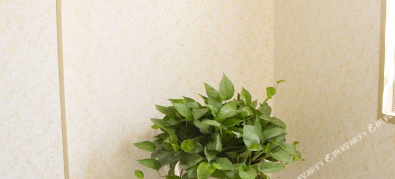 吉祥家园精品公寓(广州培正学院店)图片