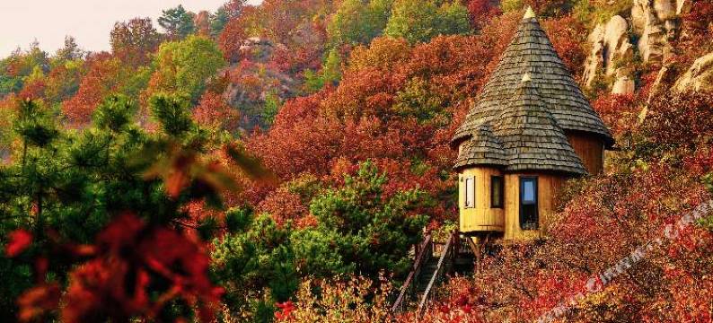 云峰山童话树屋图片