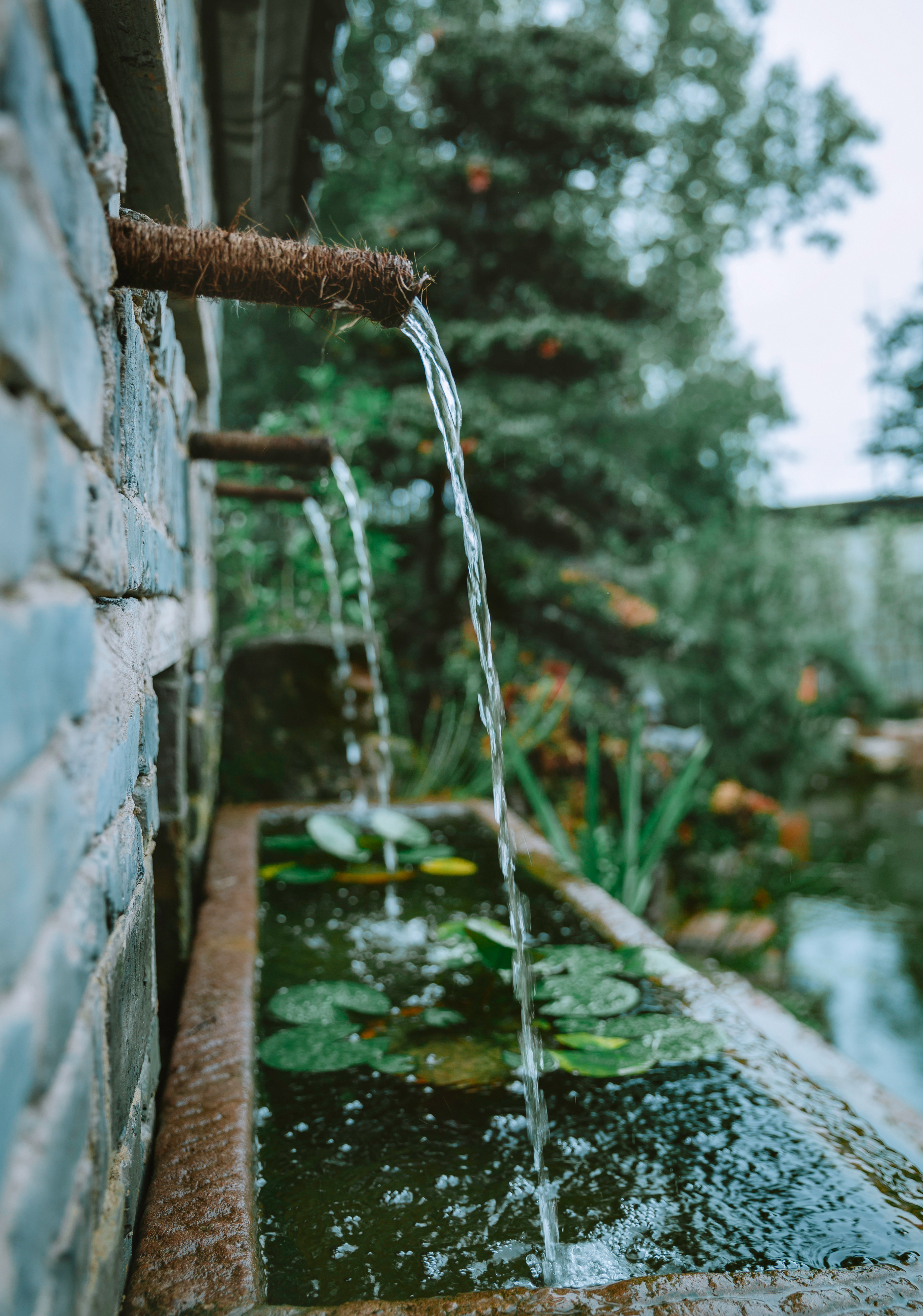 UPCLOUD·SHEDEMOYUN VILLA Over view