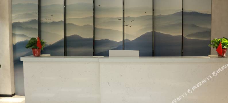 林州乐尚精品酒店图片