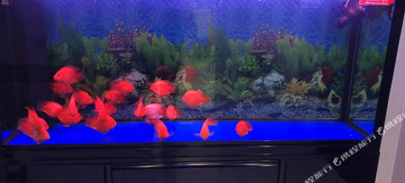 吴桥悦美时尚宾馆图片