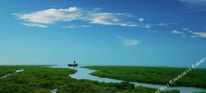 北海林清清青年旅舍图片