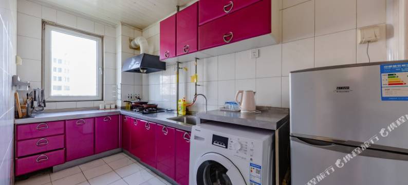 泉城园艺师四面荷花三面柳公寓(少年路分店)图片