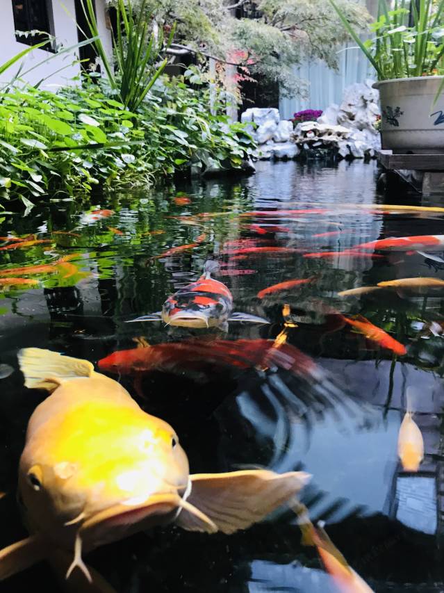 花筑·简园客栈(同里古镇景区店)图片
