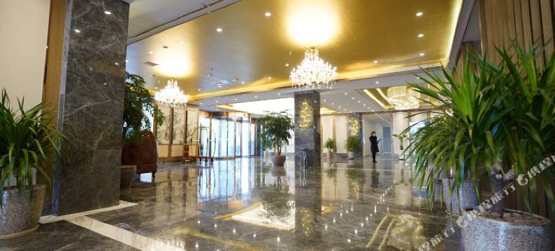 芒康康愿假日大酒店图片