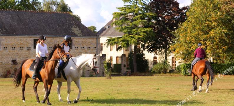 杜布城堡酒店(Château du Bû)图片
