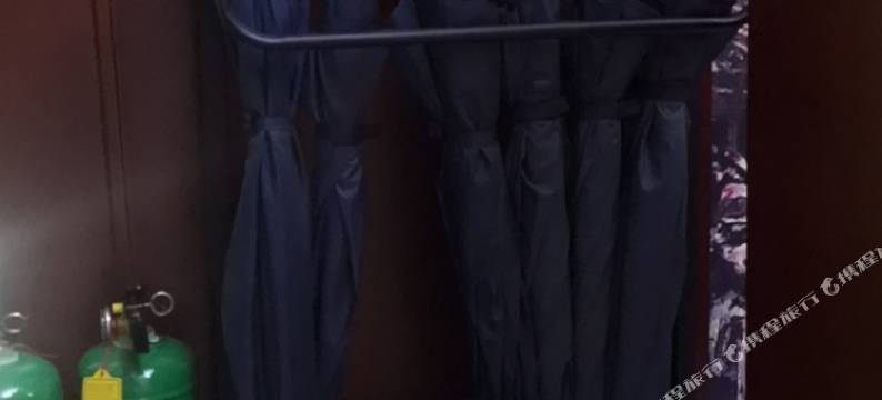 富唐酒店(西安大雁塔大唐芙蓉园店)图片