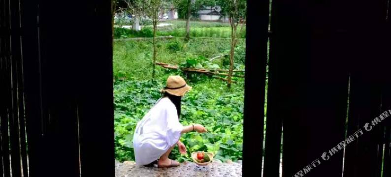 崇州归野民宿图片