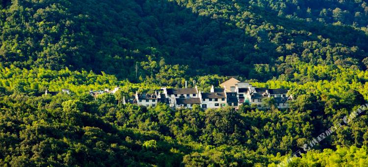 草木间·NATURE RETREAT山海湖艺墅(海盐南北湖景区店)图片