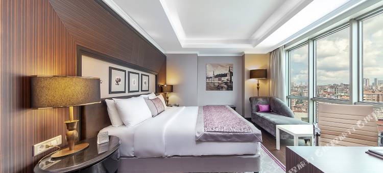 伊斯坦布尔德德曼博斯坦齐会议中心酒店(Dedeman Bostanci Istanbul Hotel & Convention Center)图片