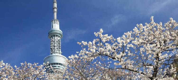 寅酒店 晴空塔(Tora Hotel Skytree)图片