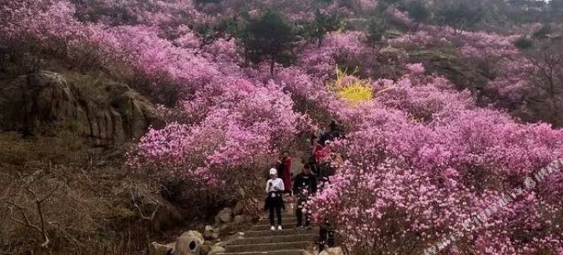 欣怡润和公寓(青岛中铁世界博览城店)图片
