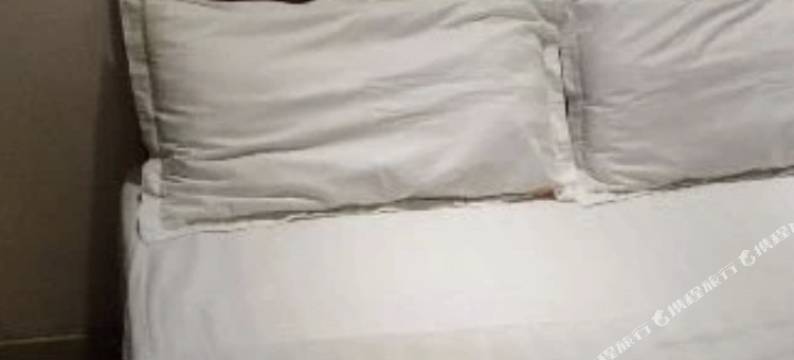 高安昌西生态大酒店图片